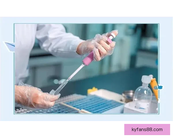 世界杯赛事深度解析与精准竞猜预测策略全面指南