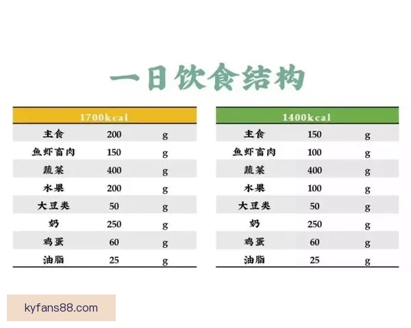 世界杯投注盘口解析与策略深度剖析，助你精准预测赛事结果