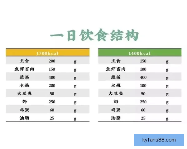 世界杯投注盘口解析与策略深度剖析，助你精准预测赛事结果